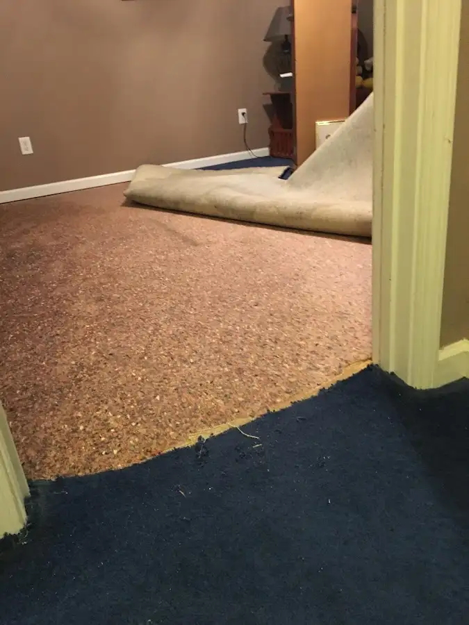Carpet pad removal revealing water damage during Drying & Dehumidification in Garfield Heights